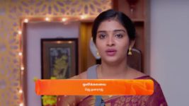 Karthigai Deepam S01 E493 30th May 2024