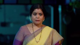 Maa Annaya (Zee Telugu) S01 E52 23rd May 2024