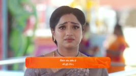 Maari S01 E539 15th May 2024