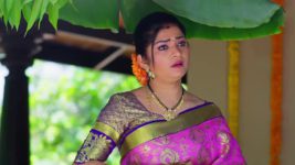 Padamati Sandhyaragam S01 E520 16th May 2024