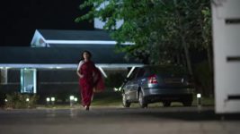 Pirticha Vanva Uri Petla S01 E446 New Episode