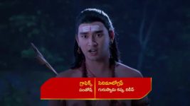 Renuka Yellamma (Star Maa) S01 E360 Parvathi Voices Her Concerns