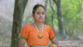 Renuka Yellamma (Star Maa) S01 E373 Mahadeva, Parvathi Rejoice