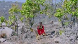 Renuka Yellamma (Star Maa) S01 E374 Sathyavathi Worries for Jamadagni