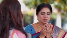 Sandhya Raagam (Tamil) S01 E199 25th May 2024