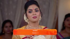 Sandhya Raagam (Tamil) S01 E205 31st May 2024