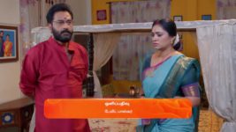 Sandhya Raagam (Tamil) S01 E206 1st June 2024