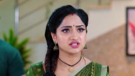 Trinayani (Kannada) S01 E1015 23rd May 2024