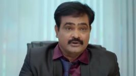 Yeto Vellipoyindhi Manasu S01 E96 Ramalakshmi Lectures Dhana