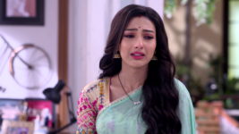 Badhua (Star Jalsha) S01 E86 Pekham's Emotional Breakdown