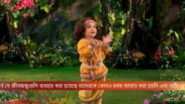 Bhakter Bhagavaan Shri Krishna S05E47 End of Balukasur Full Episode