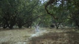 Devon Ke Dev Mahadev (Star Bharat) S24E02 Vishnu takes the form of Mohini