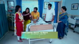 Dhulokona S01E245 Lalon Gets Discharged Full Episode