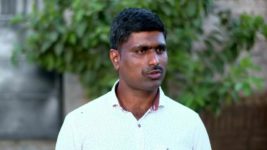 Haiwan S01E14 12th November 2022