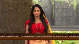 Janaki Ramudu S07E13 Sugriva, The King of Kishkindha Full Episode