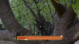 Mere Sai S01E514 Sai Gets Bad Vibes Full Episode