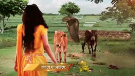 Saat Bhai Champa S01E19 15th December 2017 Full Episode