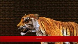 Saat Bhai Champa S01E346 13th November 2018 Full Episode