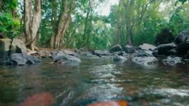Safari India S01E06 7th March 2022 Full Episode