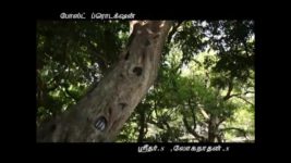 Saravanan Meenatchi S09E10 Kayal panics! Full Episode