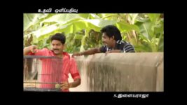 Saravanan Meenatchi S09E23 Vettaiyan gifts cuckoo Full Episode