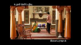 Saravanan Meenatchi S11E16 Kalaiarasi questions Vettaiyan Full Episode