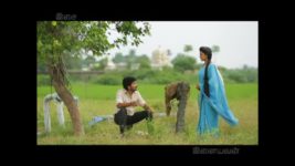 Saravanan Meenatchi S11E47 Vettaiyan attacks Tamizh Full Episode