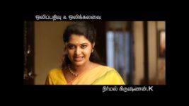 Saravanan Meenatchi S13E02 Meenakshi-Vettaiyan Reunite Full Episode