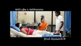 Saravanan Meenatchi S13E29 Vettaiyan is Out of Coma Full Episode