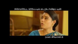 Saravanan Meenatchi S13E36 Vettaiyan Continues His Act Full Episode