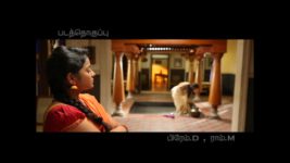 Saravanan Meenatchi S14E13 Kalaiarasi Challenges Meenakshi Full Episode