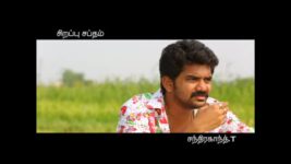 Saravanan Meenatchi S14E16 Myna Counsels Vettaiyan Full Episode