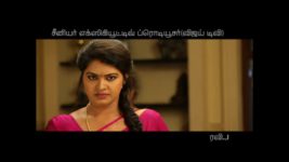 Saravanan Meenatchi S14E41 Meenakshi to Eliminate Ill Luck Full Episode