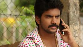 Saravanan Meenatchi S14E59 Vettaiyan Follows Meenakshi Full Episode