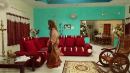 Saravanan Meenatchi S16E07 Saravanan Takes The Fall Full Episode