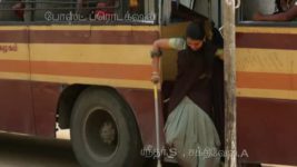Saravanan Meenatchi S16E20 Saravanan Is Invited Full Episode