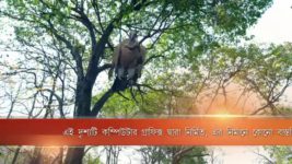 Sita S06E07 Bharath To Become a Tapasvi Full Episode