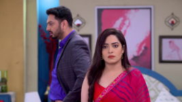 Tomader Rani S01 E237 Family to Distance Pinky, Rounak?