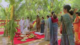 Trinayani (Kannada) S01E19 1st April 2021 Full Episode