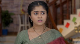 Vantalakka S01 E600 Will Varalakshmi Confront Vishnu?