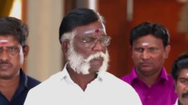 Anna (Tamil) S01 E380 25th June 2024