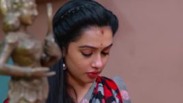 Annapoorna S01 E576 25th June 2024