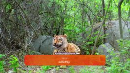 Chiranjeevi Lakshmi Sowbhagyavati S01 E454 20th June 2024