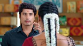 Janaki Ramayya Gari Manavaralu S01 E30 8th June 2024