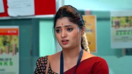 Janaki Ramayya Gari Manavaralu S01 E32 11th June 2024