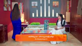 Karthigai Deepam S01 E500 6th June 2024
