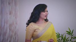 Lakshmi Nivasa S01 E195 28th June 2024
