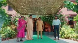 Maa Annaya (Zee Telugu) S01 E73 17th June 2024