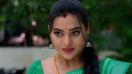 Nindu Noorella Saavasam S01 E259 10th June 2024