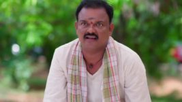 Padamati Sandhyaragam S01 E542 11th June 2024